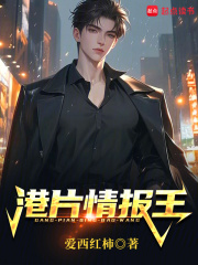 ��Ƭ�鱨��