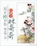 红楼之天上掉下个林哥哥