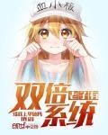 ������˫��ϵͳ