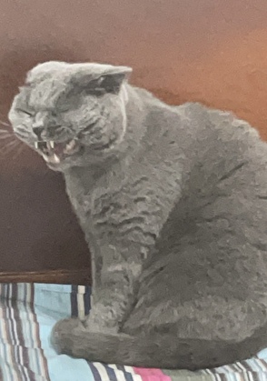 ���ɶ���󣬱���ס�˺󾱣�