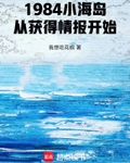 1984小海岛,从获得情报开始