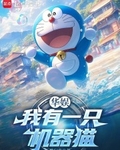 华娱:我有一只机器猫